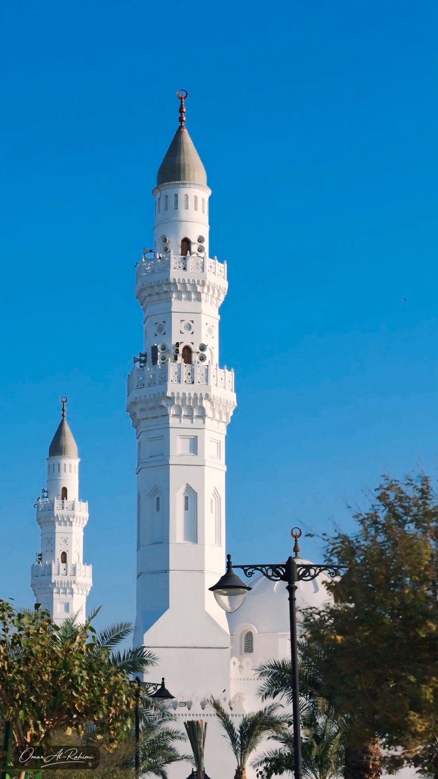 المدينة المنورة